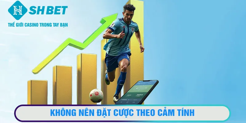 Không nên đặt cược theo cảm tính